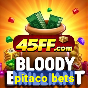 pitaco bets